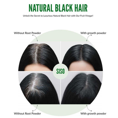 Fruit Vinegar Gel Based Hair Color 125ML (Pack of 2) | Buy 1 Get 1 Free